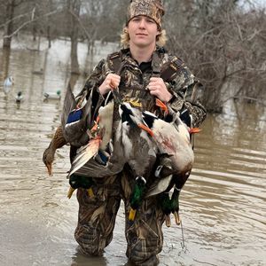 Meet your Posher, Blake